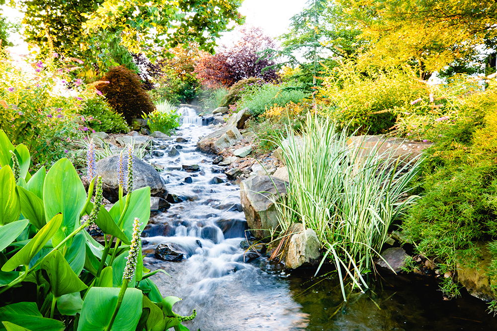 Eden Botanical Gardens