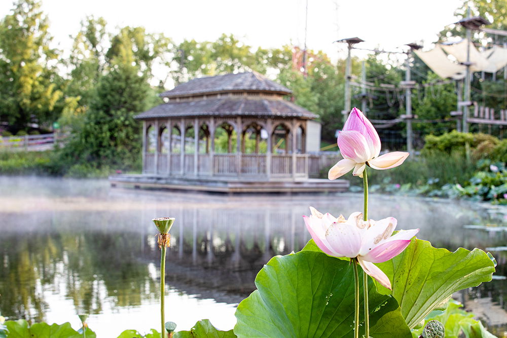 Eden Botanical Gardens