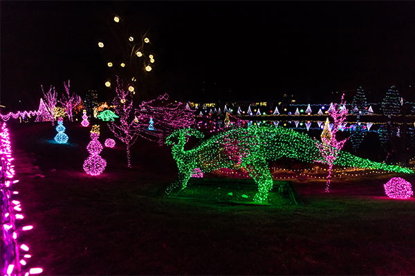 Buddy Davis Dinosaur in Lights