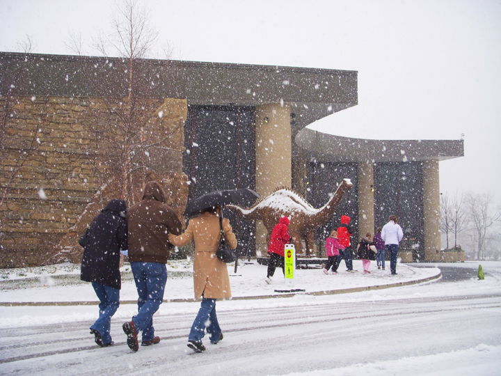 Snowy Day