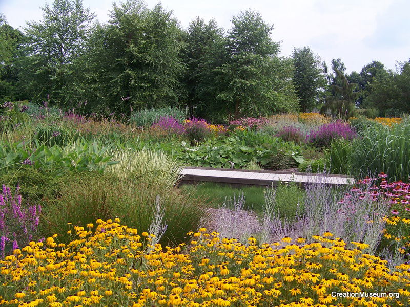 Bog Gardens