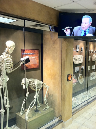 Creation Museum Guests
