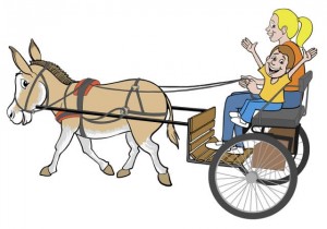 Donkey cart ride