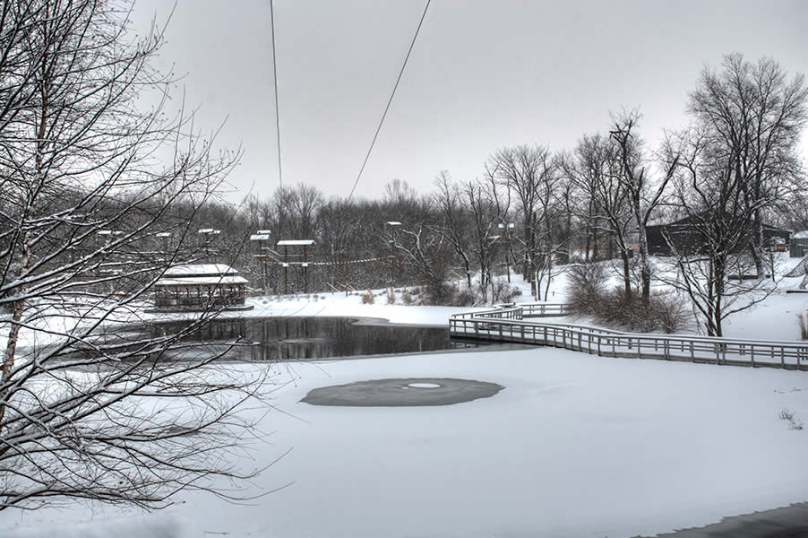 Lake and grounds in snow