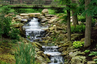 Waterfall in Botanical Gardens