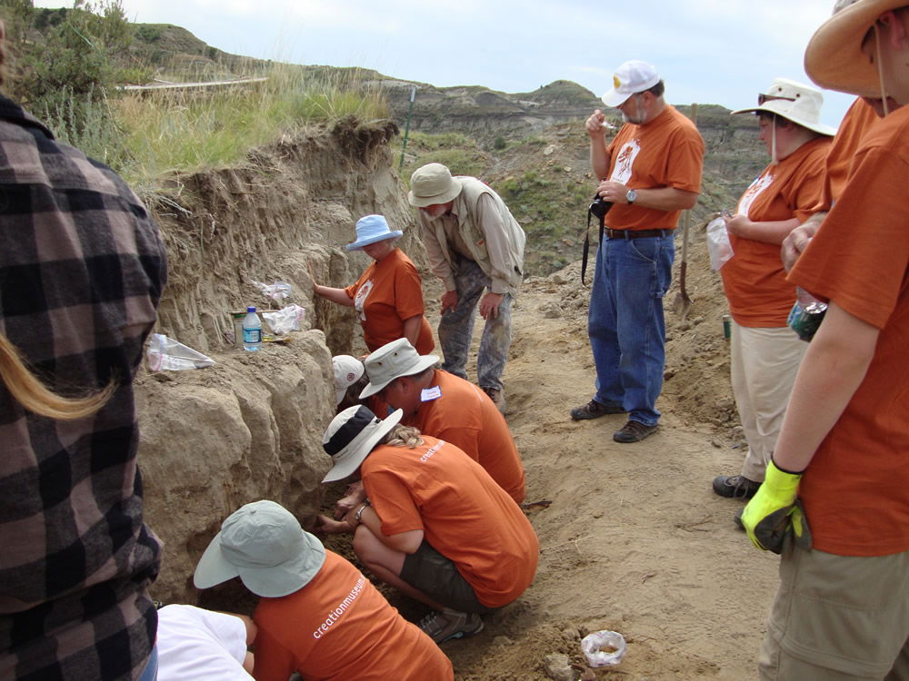 Dinosaur Dig