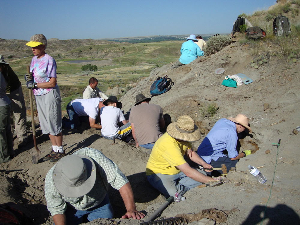 Previous Dinosaur Dig