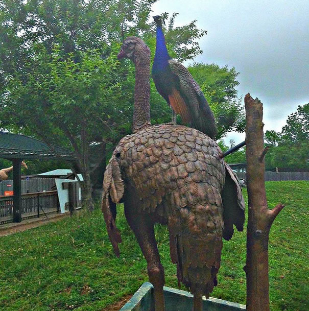 Peacock atop Bird Statue