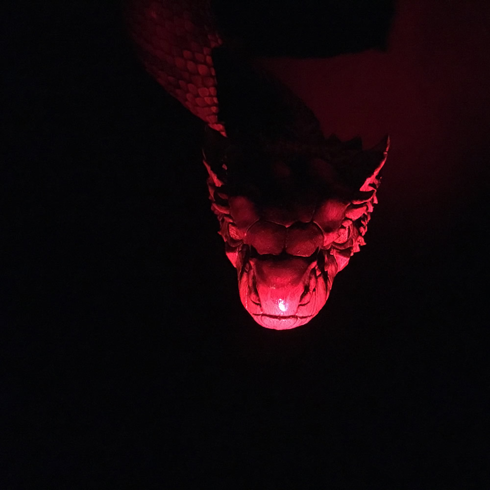 Serpent in Red