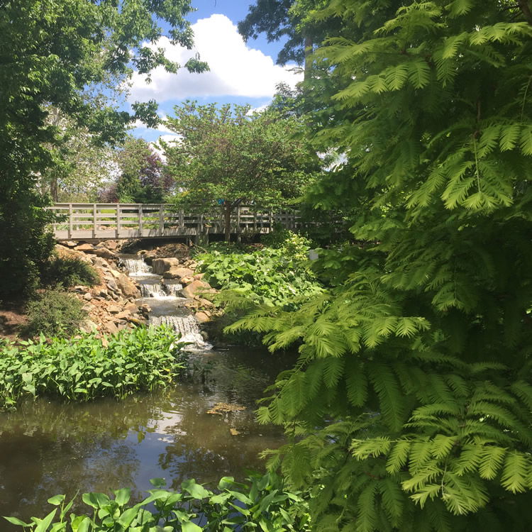 Garden Bridge