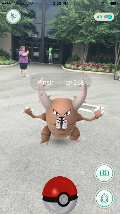 Pokémon in Grand Plaza