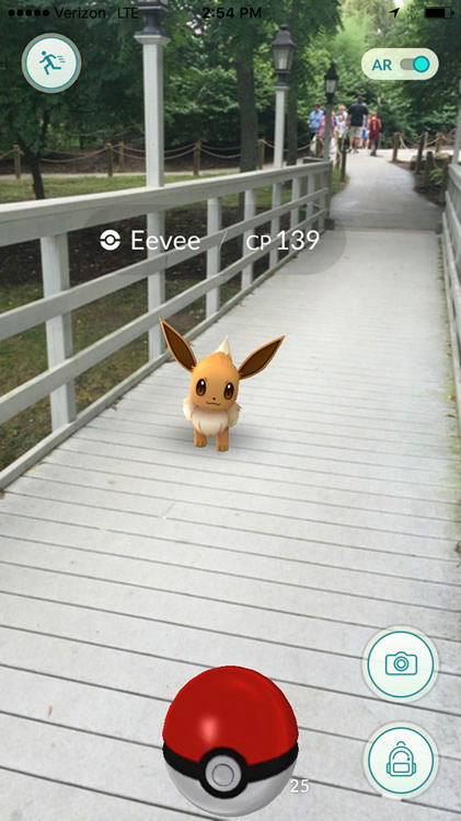 Pokémon on Bridge