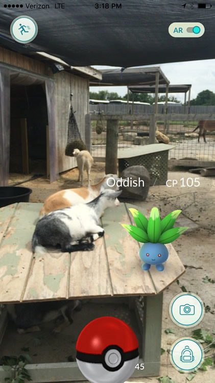 Pokémon with Goats