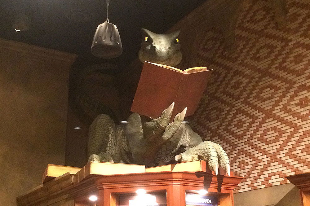 Reading Dragon