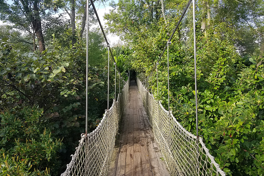 Suspension Bridge