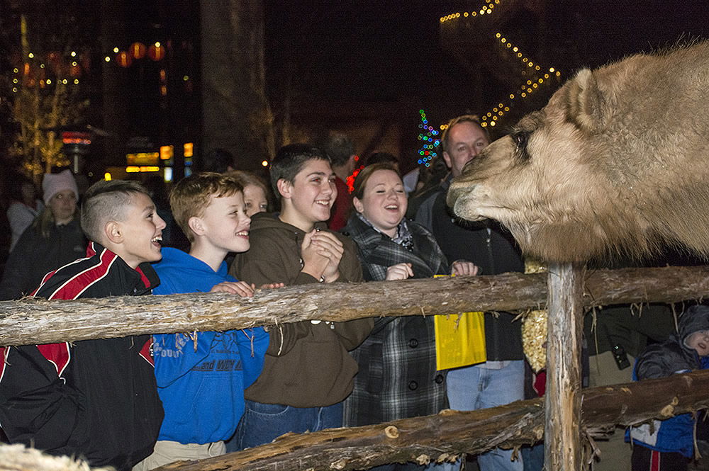 Smiling Guests and Camel