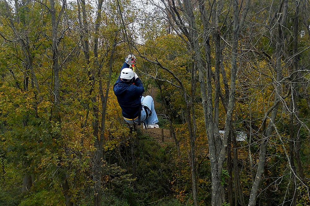 Zipping Through the Woods at the Creation Museum