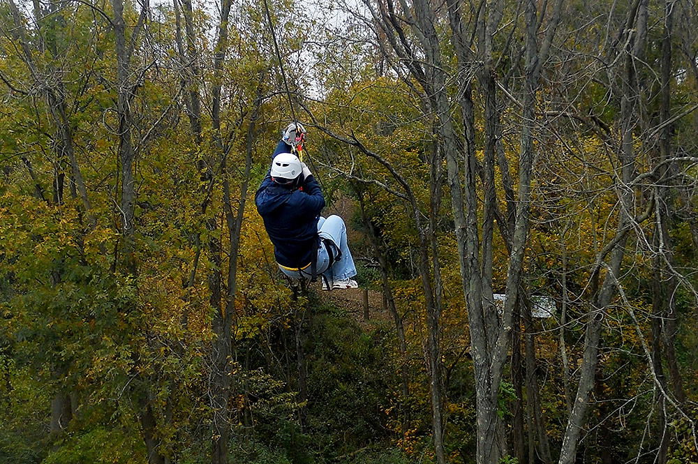 Zip Through Woods