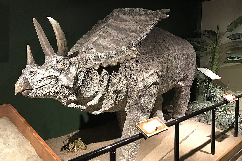 Chasmosaurus