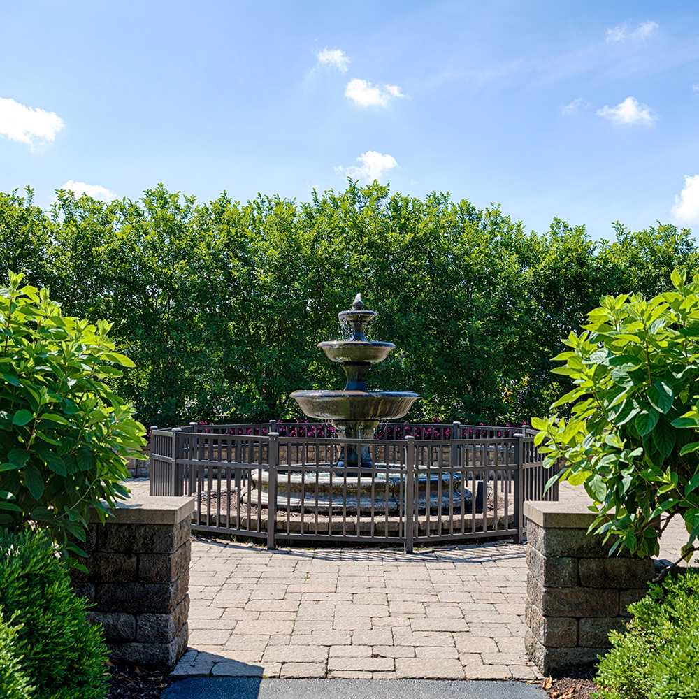Botanical Garden Fountain