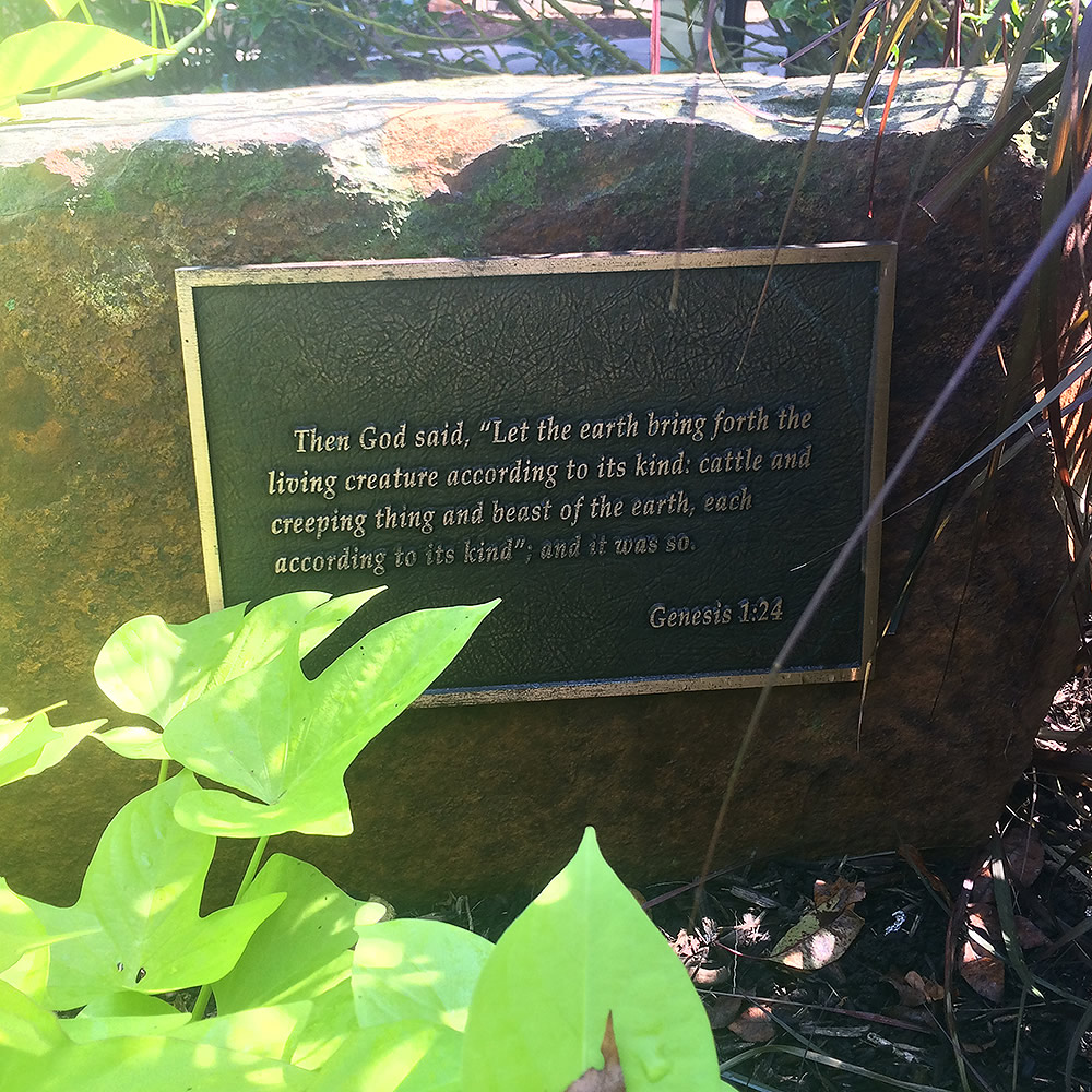 Botanical Garden Scripture