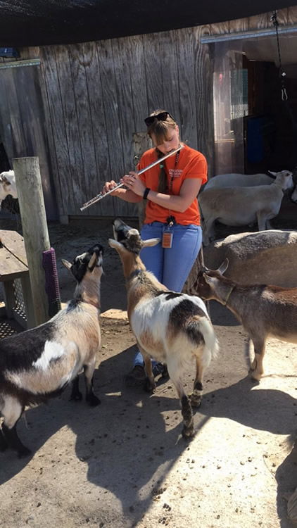 Goats with Flute