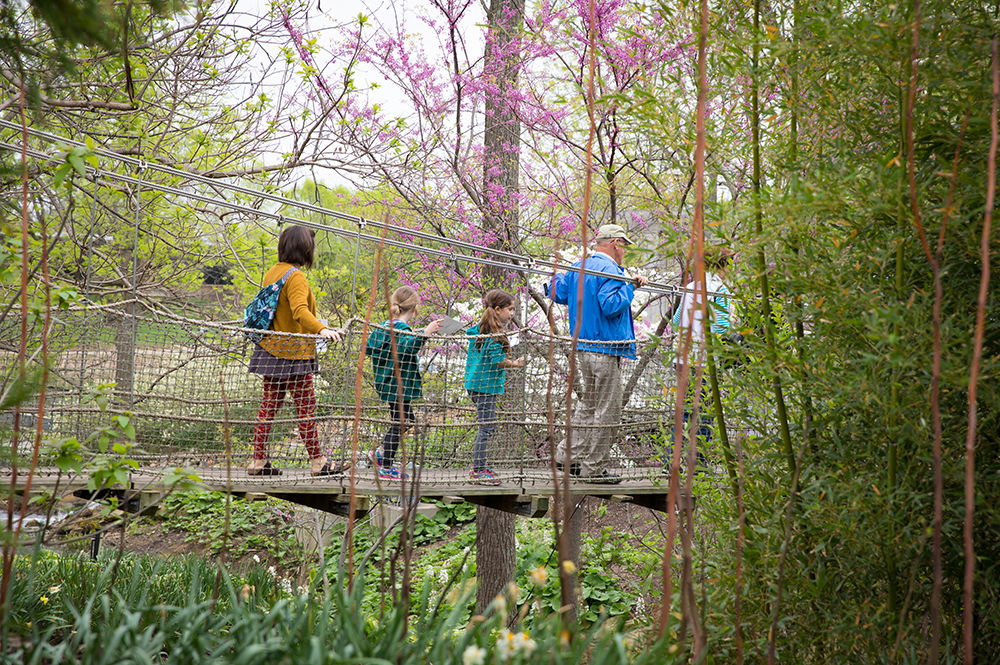 Family on Suspension Bridge in Creation Museum Botanical Gardens