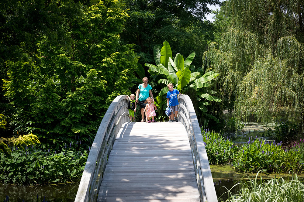 Bridge in Creation Museum Botanical Gardens