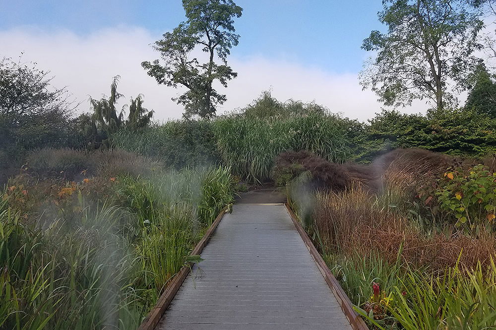 Bridge in Creation Museum Botanical Gardens