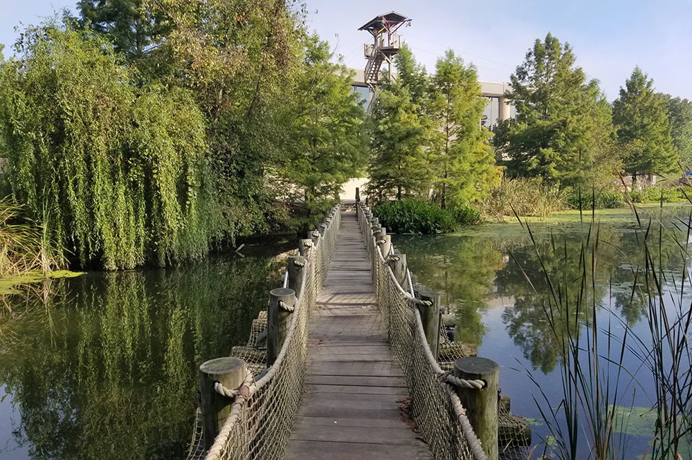 Bridge in Creation Museum Botanical Gardens