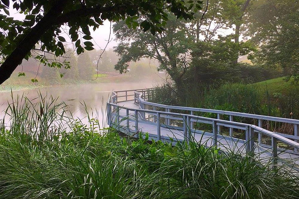 Bridge in Creation Museum Botanical Gardens