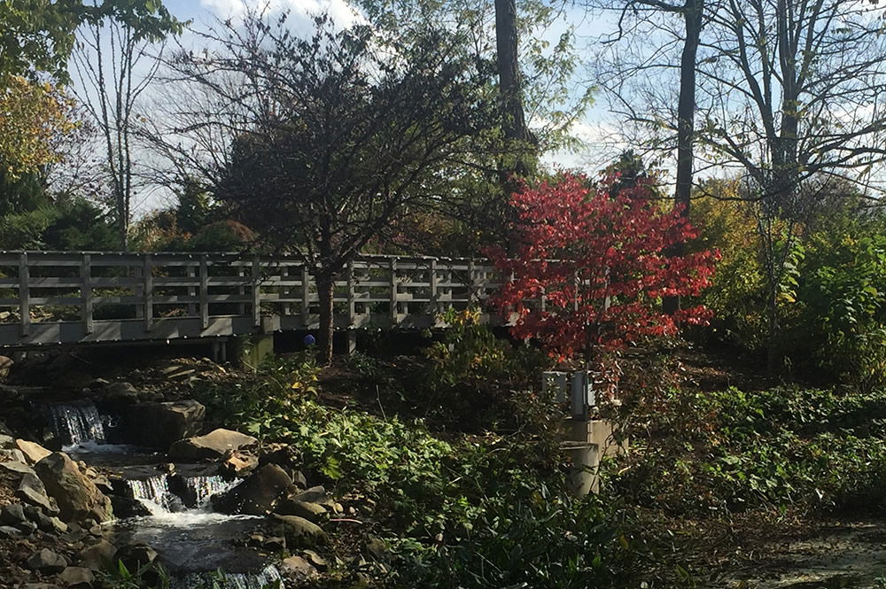 Bridge in Creation Museum Botanical Gardens