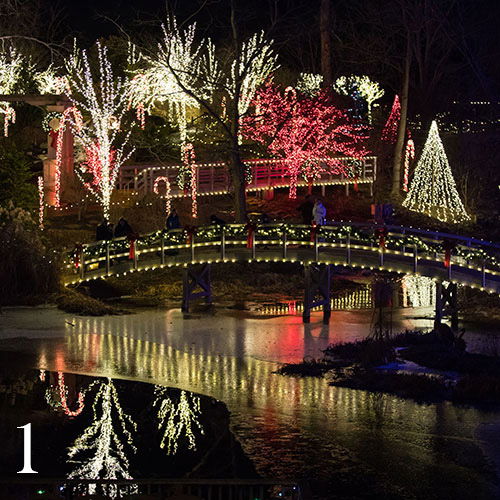 Top 10 Most-Liked ChristmasTown Instagram Photos | Creation Museum