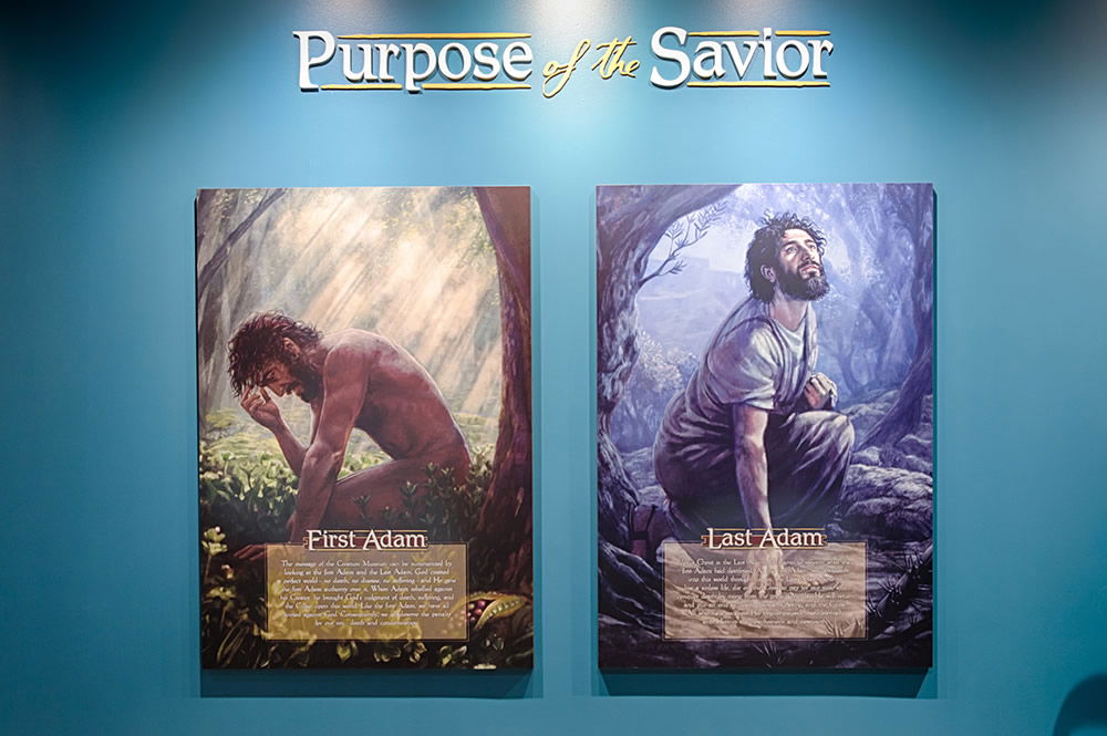 Purpose of the Savior