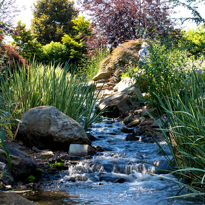 Water Feature at Creation Museum Botanical Gardens