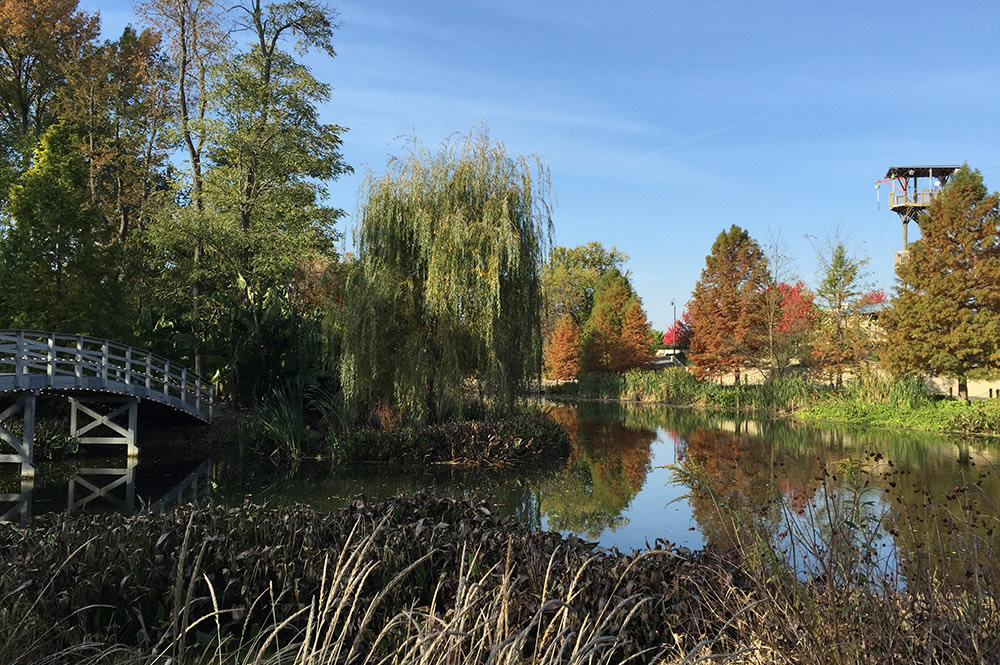 Fall in the Botanical Gardens