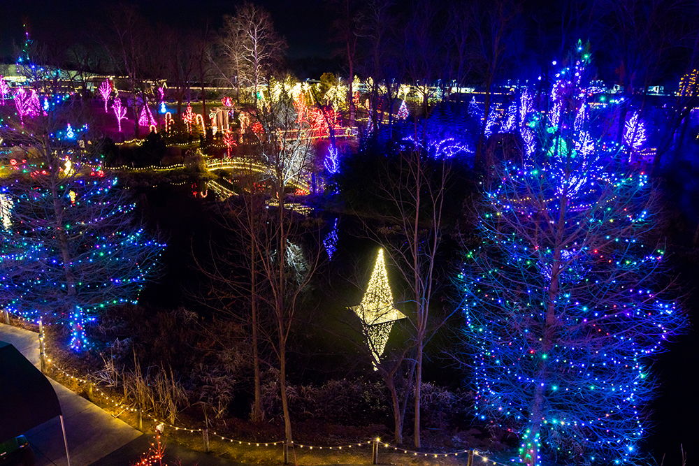 Tour the Dazzling Garden of Lights | Creation Museum