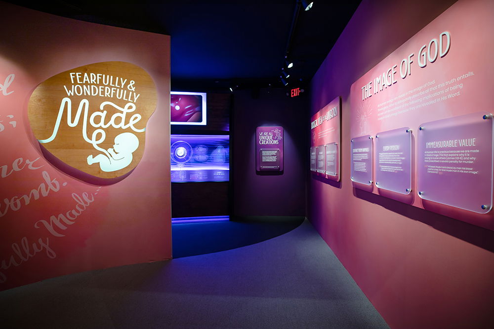 Fearfully & Wonderfully Made Exhibit