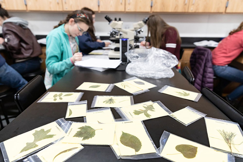 Biology Lab at the Creation Museum