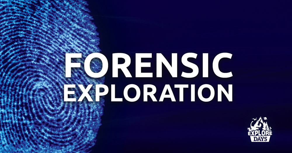 Forensic Exploration