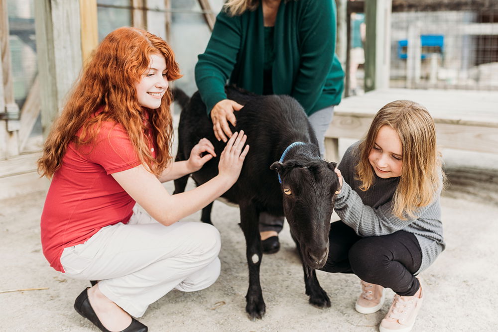 Family Petting Eden Animal Experience Goats