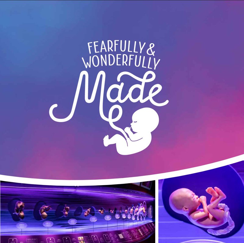 Fearfully & Wonderfully Made Book