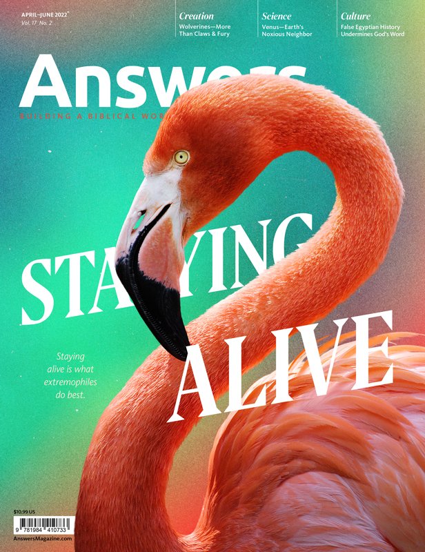 Answers Magazine