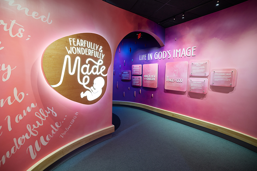 Fearfully and Wonderfully Made Exhibit