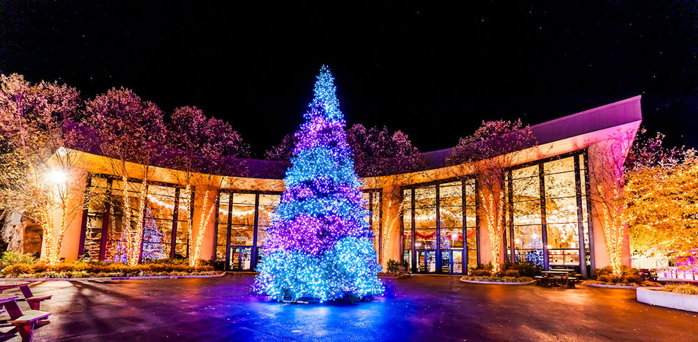 ChristmasTown at the Creation Museum