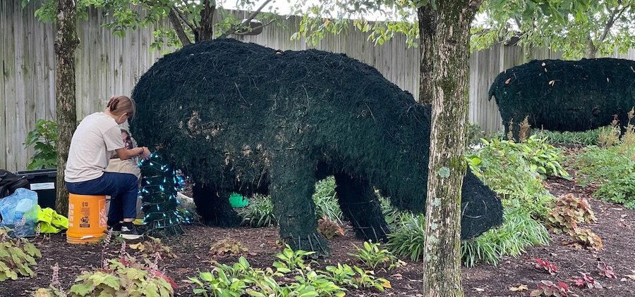 Ark Encounter Hippo Topiary