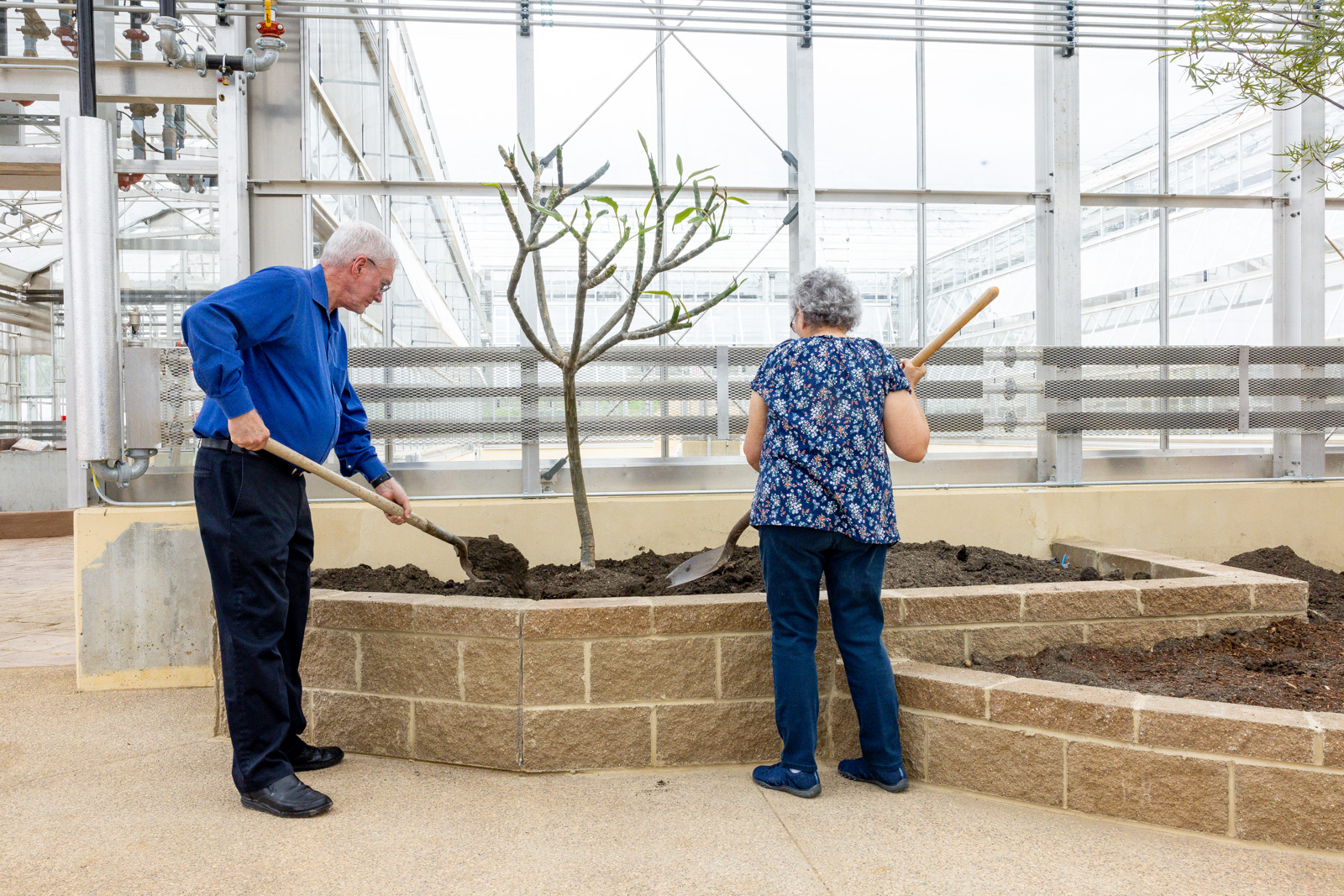 Ken and Mally's Bottle Tree Move to the Conservatory