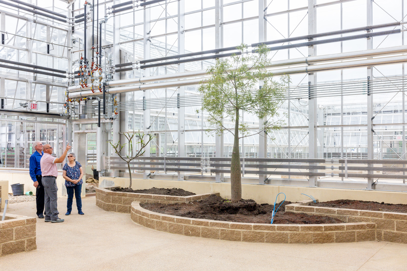 Ken and Mally's Bottle Tree Move to the Conservatory