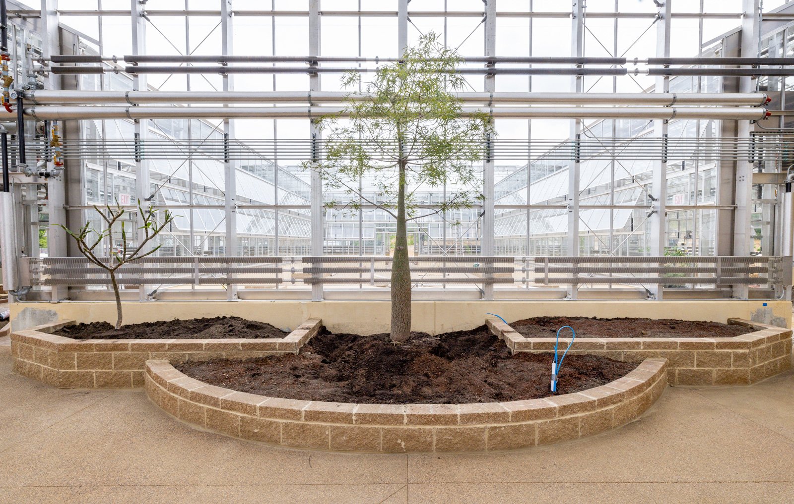 Ken and Mally's Bottle Tree Move to the Conservatory