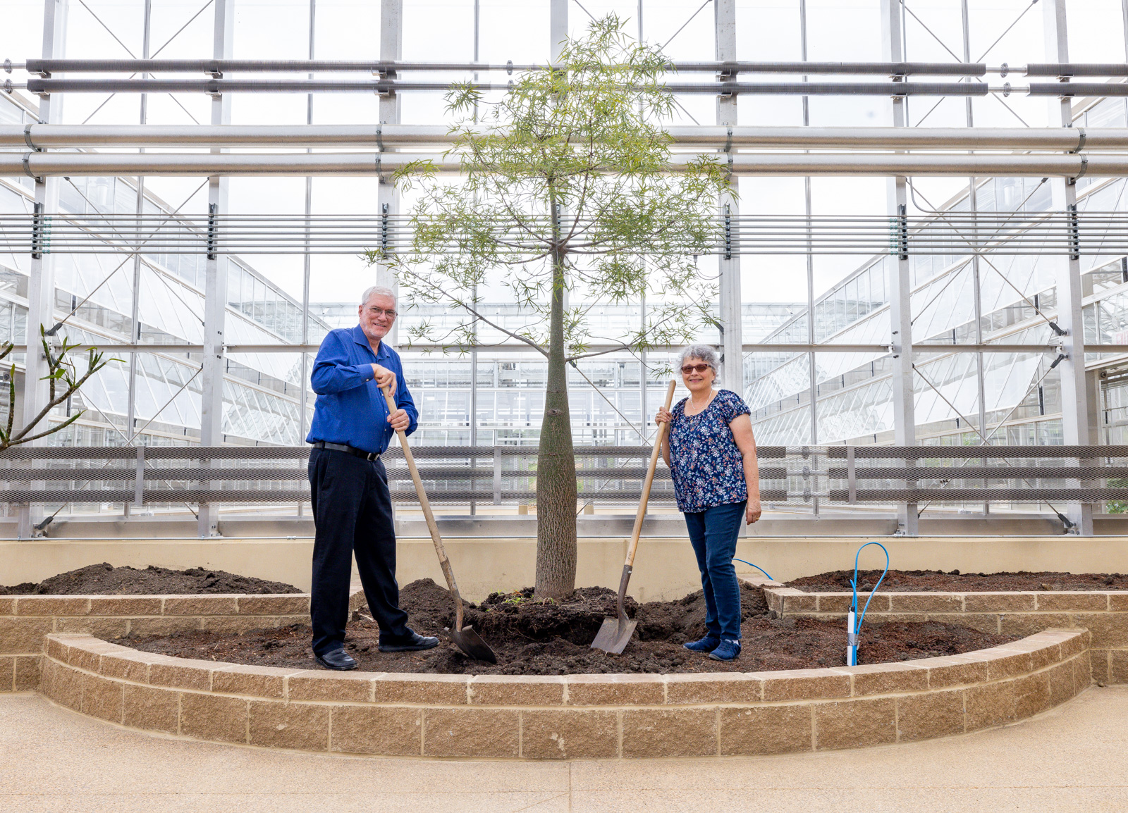 Ken and Mally's Bottle Tree Move to the Conservatory